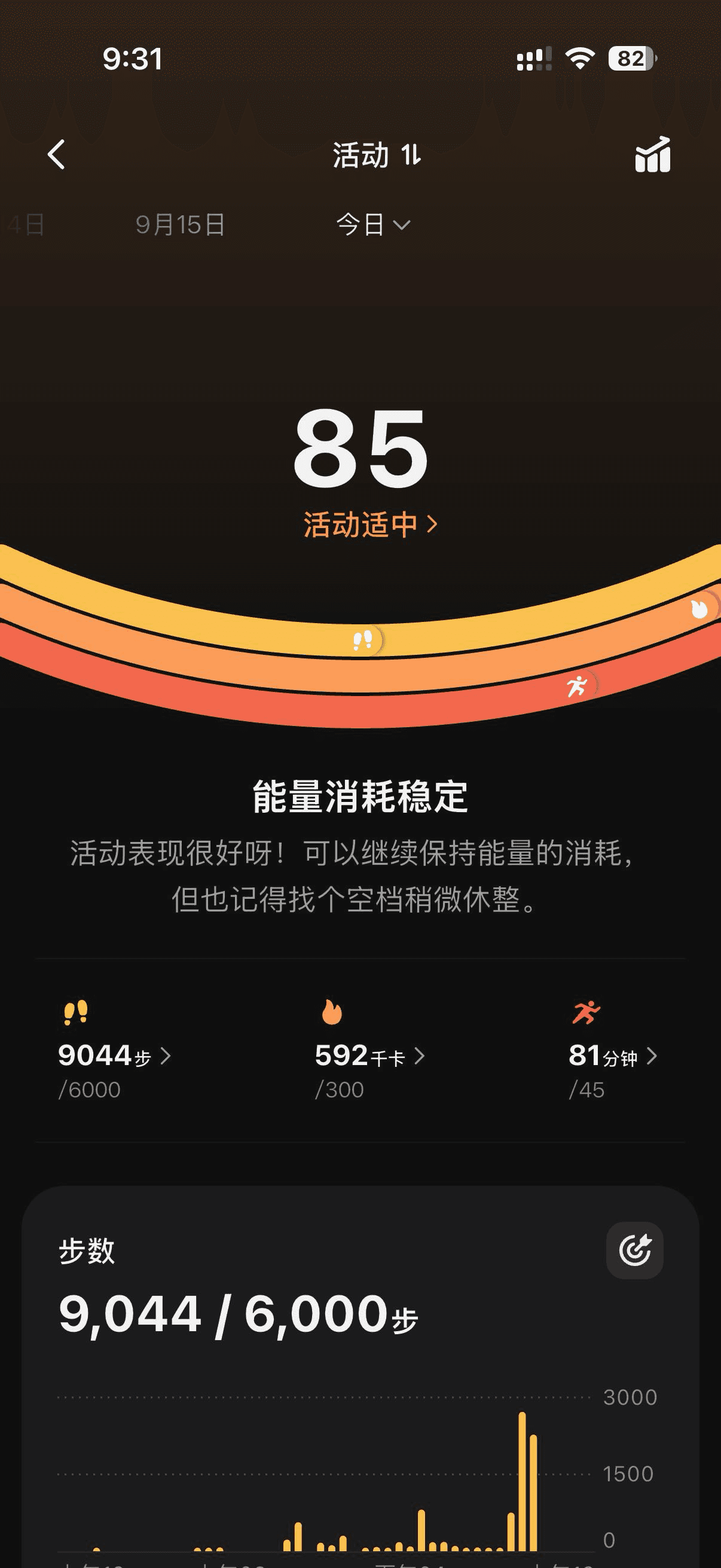 Activity photo